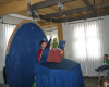 IMG_6353.jpg