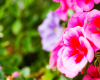 openmind_festival_2015-9